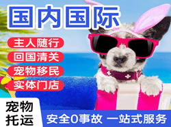 百色机场货运国际宠物托运 【国